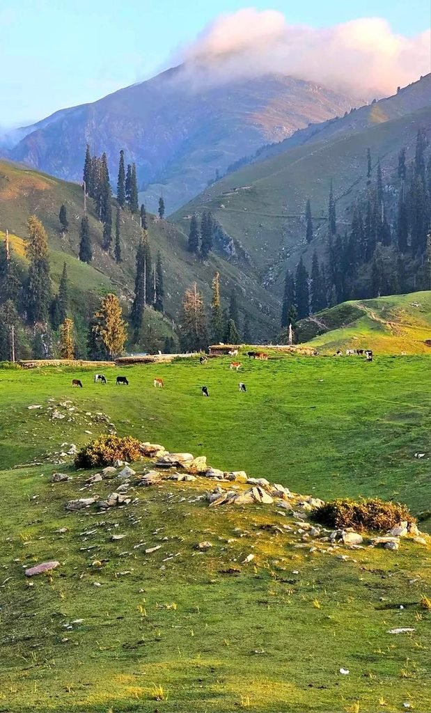 Lahore to Naran trip